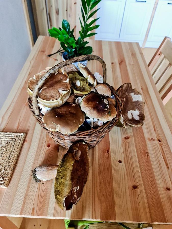 Chata Zorka Opařany Eksteriør bilde